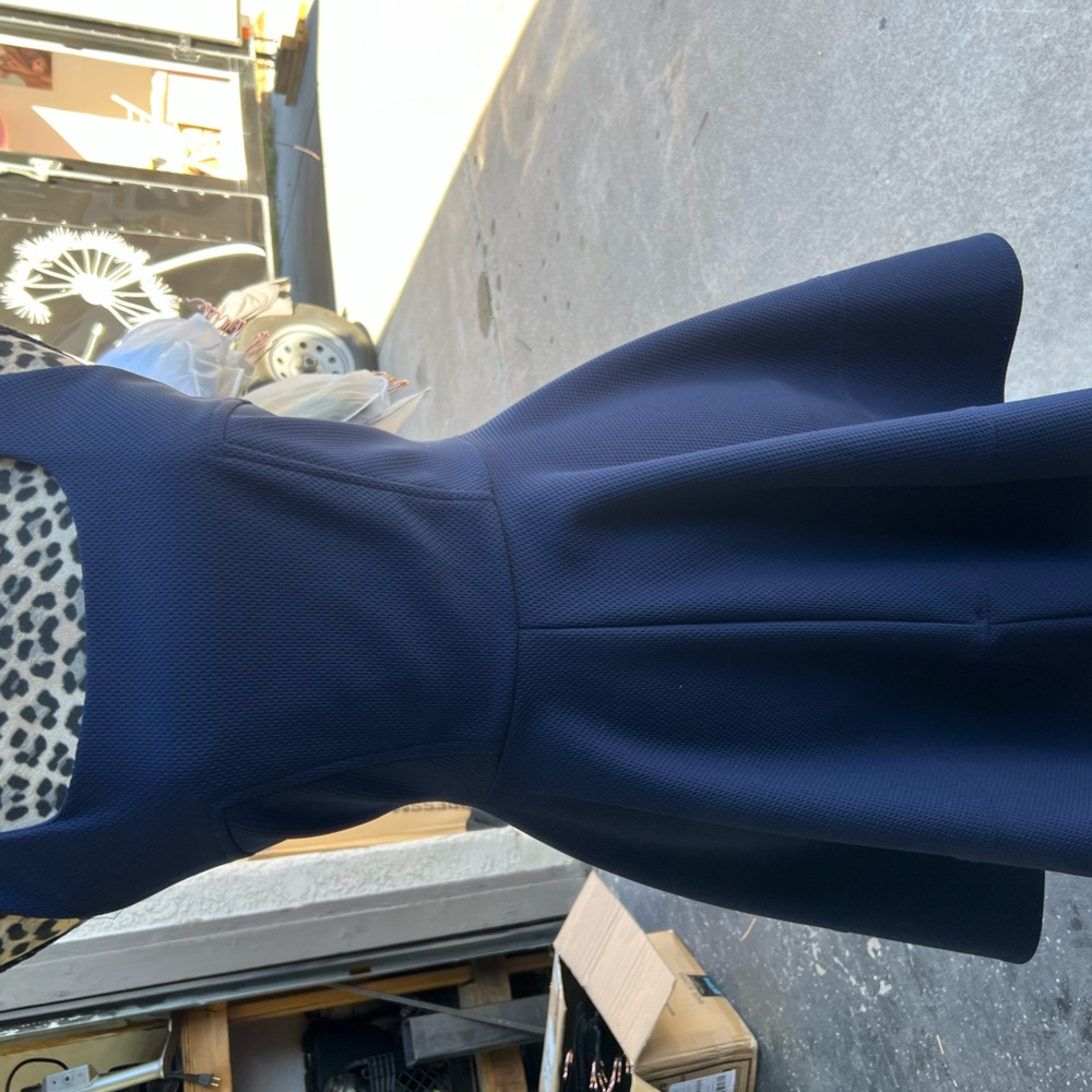 Navy blue A-line dress. Size small, very cute with zipper back.
